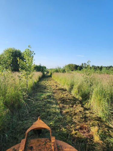 Forestry-Service-in-Meeker-County-Minnesota-104