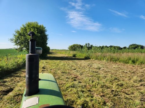 Forestry-Service-in-Meeker-County-Minnesota-105