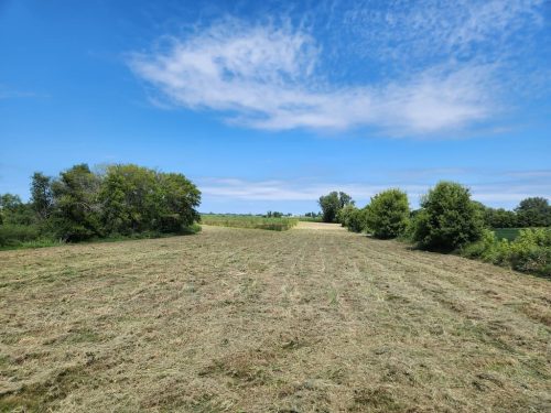 Forestry-Service-in-Meeker-County-Minnesota-106