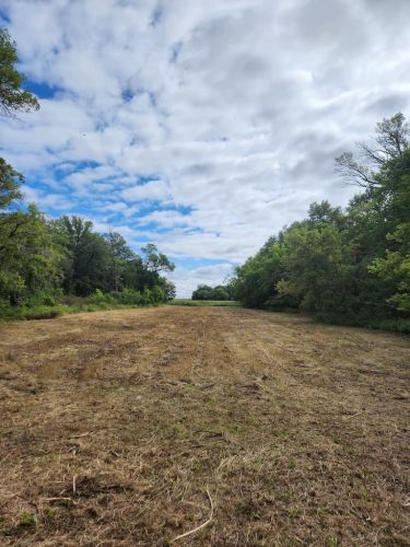 Forestry-Service-in-Meeker-County-Minnesota-112