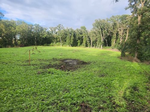 Forestry-Service-in-Meeker-County-Minnesota-114