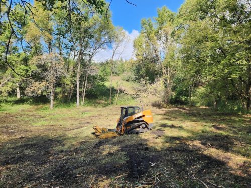 Forestry-Service-in-Meeker-County-Minnesota-117