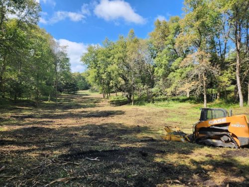 Forestry-Service-in-Meeker-County-Minnesota-118