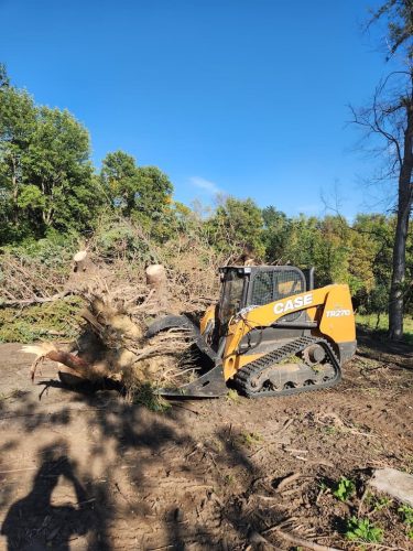 Forestry-Service-in-Meeker-County-Minnesota-119