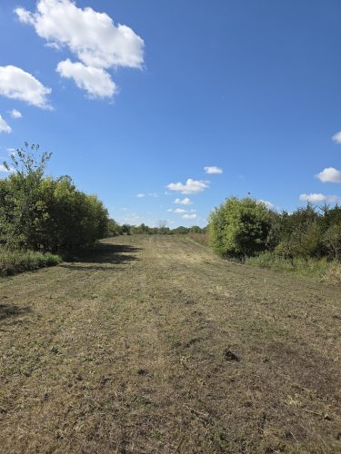Forestry-Service-in-Meeker-County-Minnesota-11 (1)