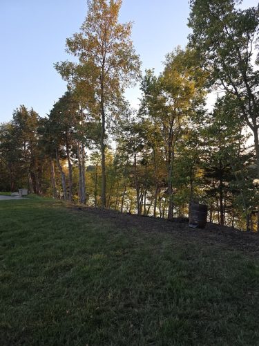 Forestry-Service-in-Meeker-County-Minnesota-120