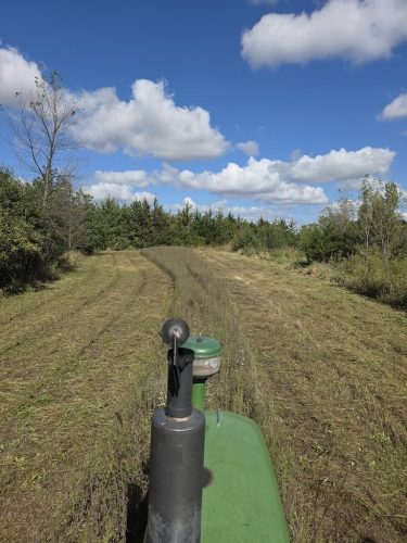 Forestry-Service-in-Meeker-County-Minnesota-122
