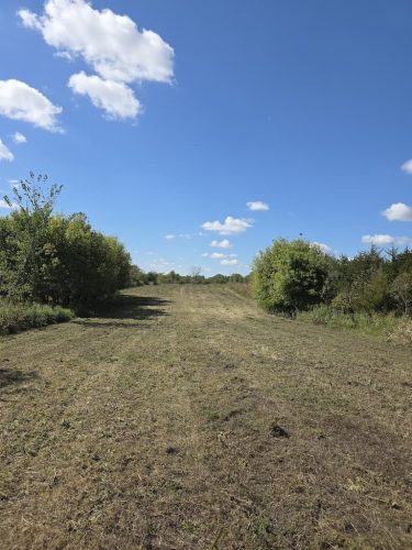 Forestry-Service-in-Meeker-County-Minnesota-124