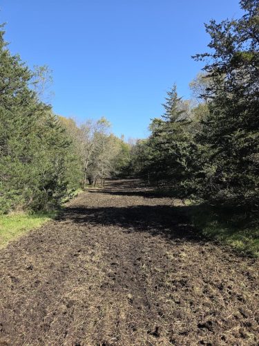 Forestry-Service-in-Meeker-County-Minnesota-126