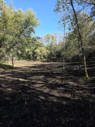 Forestry-Service-in-Meeker-County-Minnesota-127