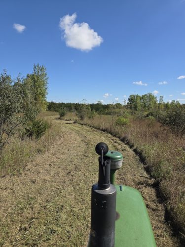 Forestry-Service-in-Meeker-County-Minnesota-12 (1)