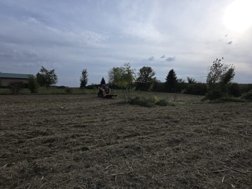 Forestry-Service-in-Meeker-County-Minnesota-131