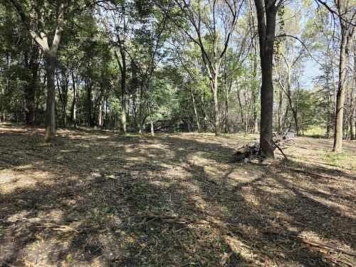 Forestry-Service-in-Meeker-County-Minnesota-132