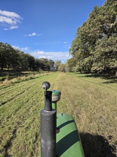 Forestry-Service-in-Meeker-County-Minnesota-134