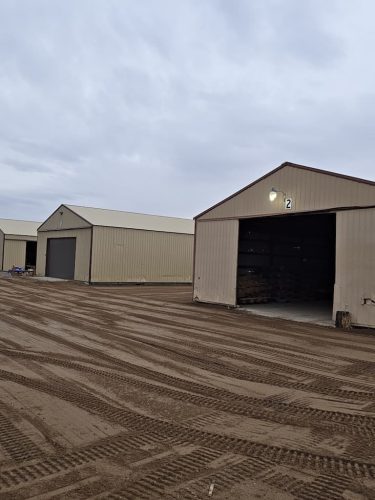 Forestry-Service-in-Meeker-County-Minnesota-139