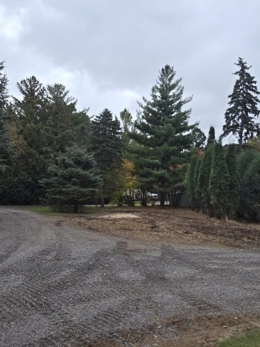 Forestry-Service-in-Meeker-County-Minnesota-142