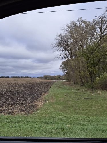 Forestry-Service-in-Meeker-County-Minnesota-143