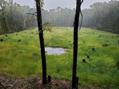 Forestry-Service-in-Meeker-County-Minnesota-155