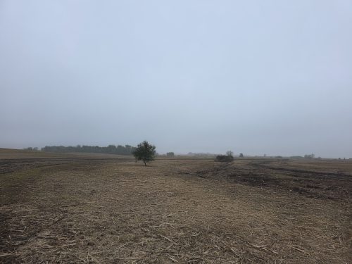 Forestry-Service-in-Meeker-County-Minnesota-15 (1)