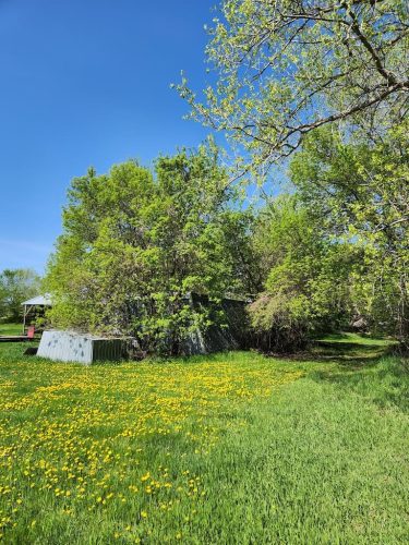 Forestry-Service-in-Meeker-County-Minnesota-16