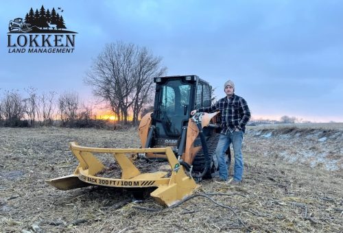 Forestry-Service-in-Meeker-County-Minnesota-160