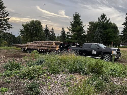 Forestry-Service-in-Meeker-County-Minnesota-162