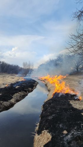 Forestry-Service-in-Meeker-County-Minnesota-168