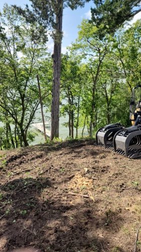 Forestry-Service-in-Meeker-County-Minnesota-170