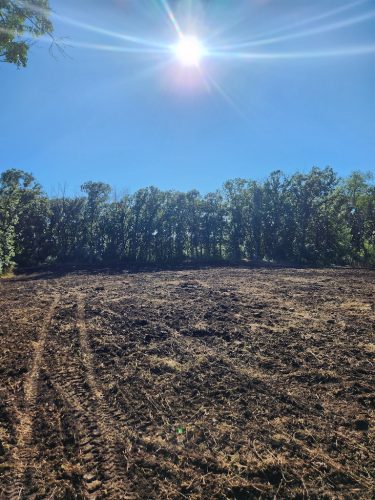 Forestry-Service-in-Meeker-County-Minnesota-1 (1)