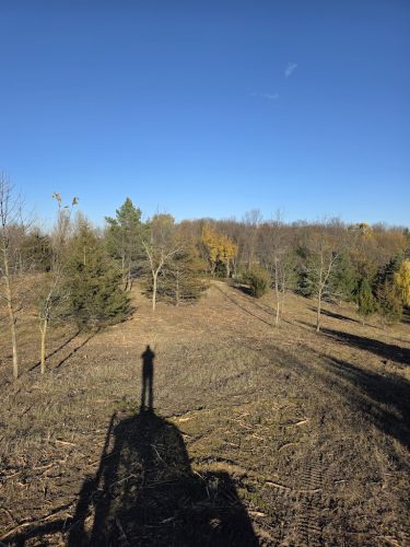 Forestry-Service-in-Meeker-County-Minnesota-20 (1)