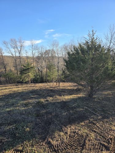 Forestry-Service-in-Meeker-County-Minnesota-22 (1)