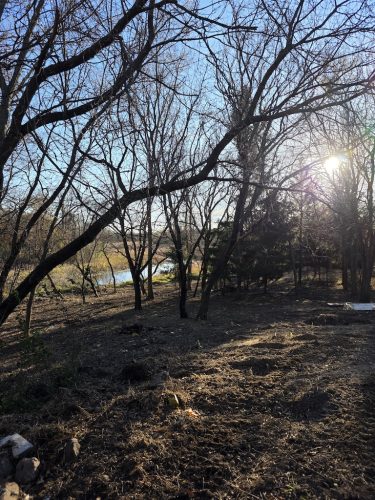 Forestry-Service-in-Meeker-County-Minnesota-25 (1)