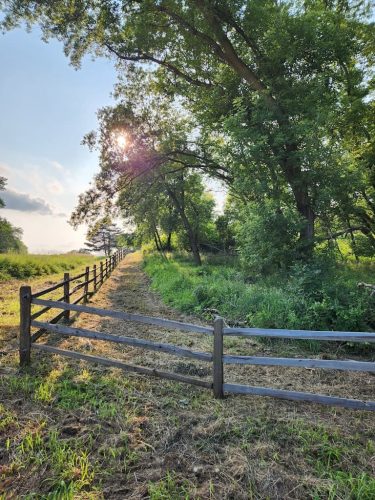 Forestry-Service-in-Meeker-County-Minnesota-26