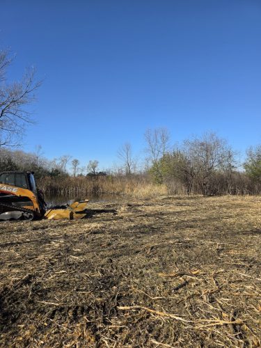 Forestry-Service-in-Meeker-County-Minnesota-26 (1)