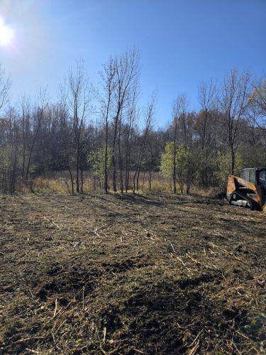 Forestry-Service-in-Meeker-County-Minnesota-27 (1)