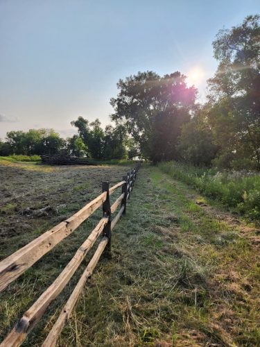 Forestry-Service-in-Meeker-County-Minnesota-28