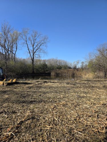 Forestry-Service-in-Meeker-County-Minnesota-29 (1)