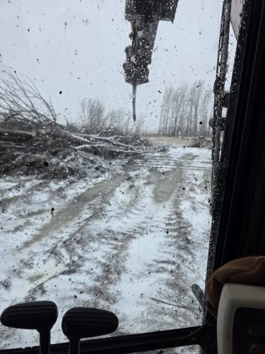 Forestry-Service-in-Meeker-County-Minnesota-3-28-26-0010