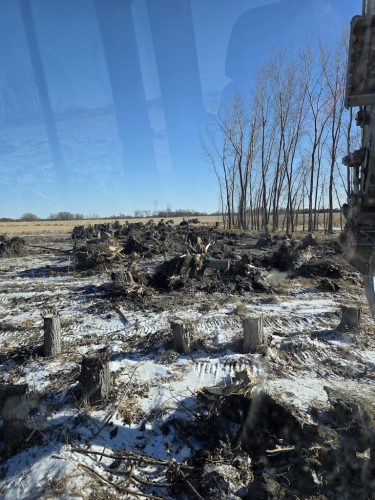 Forestry-Service-in-Meeker-County-Minnesota-3-28-26-0011
