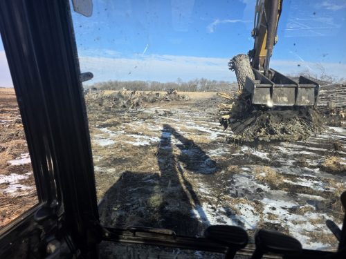 Forestry-Service-in-Meeker-County-Minnesota-3-28-26-0013