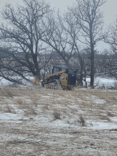 Forestry-Service-in-Meeker-County-Minnesota-3-28-26-0018
