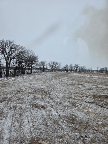 Forestry-Service-in-Meeker-County-Minnesota-3-28-26-0019