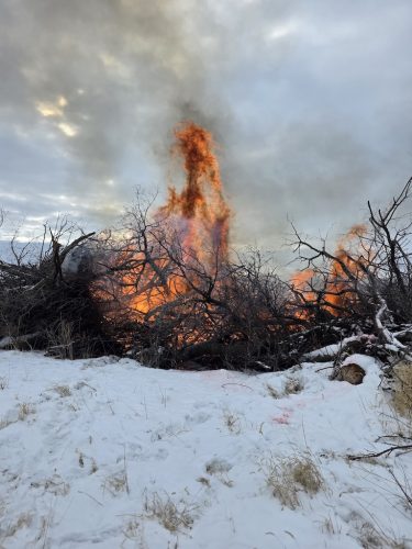 Forestry-Service-in-Meeker-County-Minnesota-3-28-26-002
