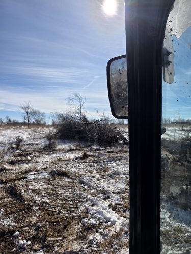 Forestry-Service-in-Meeker-County-Minnesota-3-28-26-0020