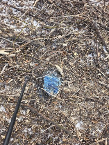 Forestry-Service-in-Meeker-County-Minnesota-3-28-26-0021