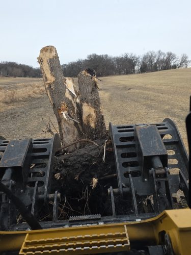 Forestry-Service-in-Meeker-County-Minnesota-3-28-26-0026