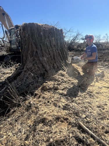 Forestry-Service-in-Meeker-County-Minnesota-3-28-26-0027