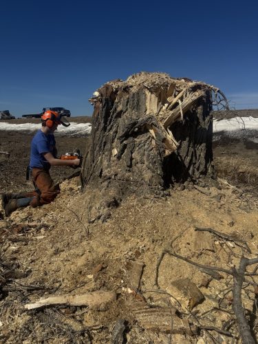 Forestry-Service-in-Meeker-County-Minnesota-3-28-26-0028