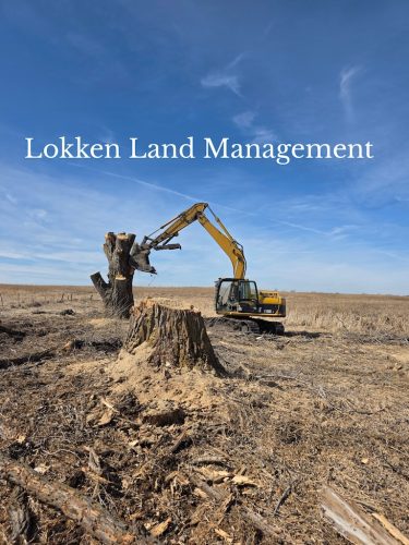 Forestry-Service-in-Meeker-County-Minnesota-3-28-26-0030