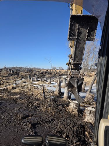 Forestry-Service-in-Meeker-County-Minnesota-3-28-26-009